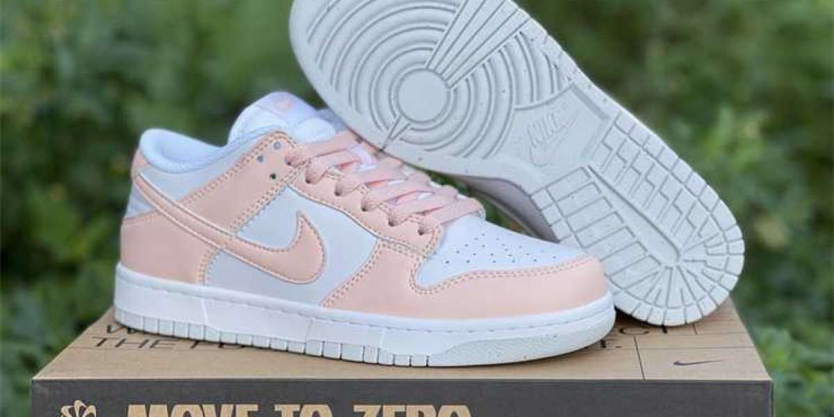 2021 Brand New Nike Dunk Low Move To Zero DD1873-100