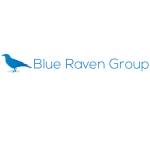 Blue Raven Group profile picture