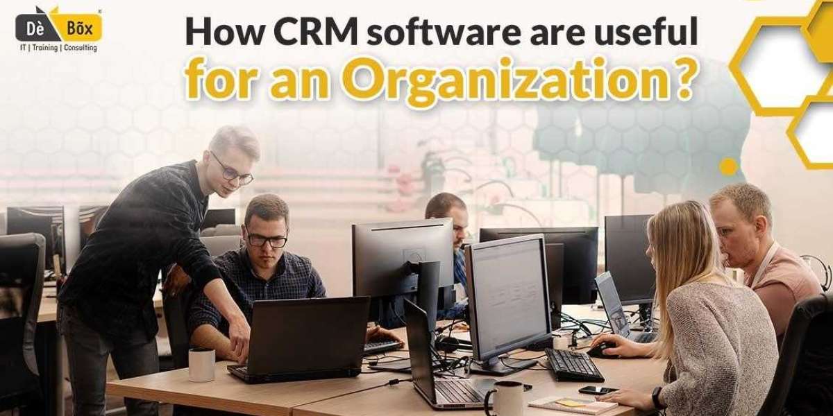 How CRM Software are Useful for an Organization?