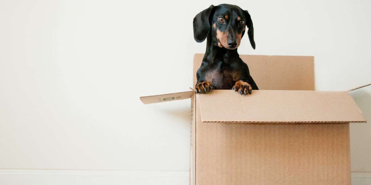 Moving Companies Auckland: Unlocking the Key to a Successful Move