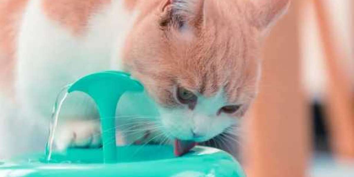 Enhance Your Pet's Hydration with Pawoof Cat Water Fountain: A Leading Pet Feeder Manufacturer