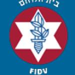 Fidv Fidv Profile Picture