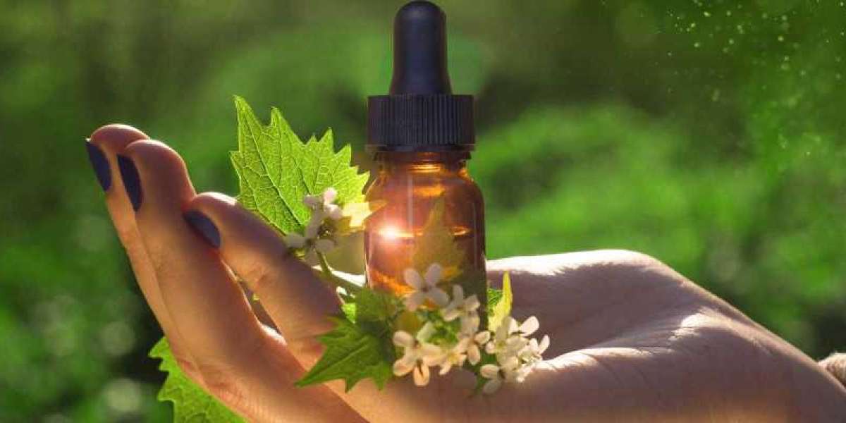 Exploring the Therapeutic Benefits and Uses of Aroma Oils in Modern Wellness Practices