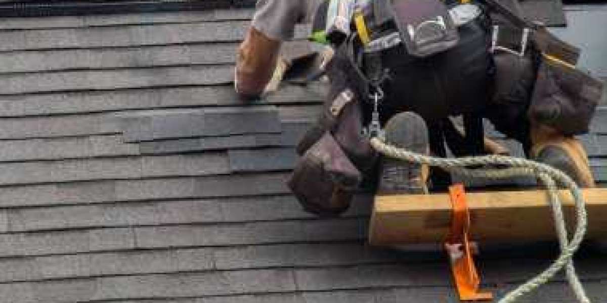 West Auckland's Roof Rescue: Finding the Right Repair Specialist