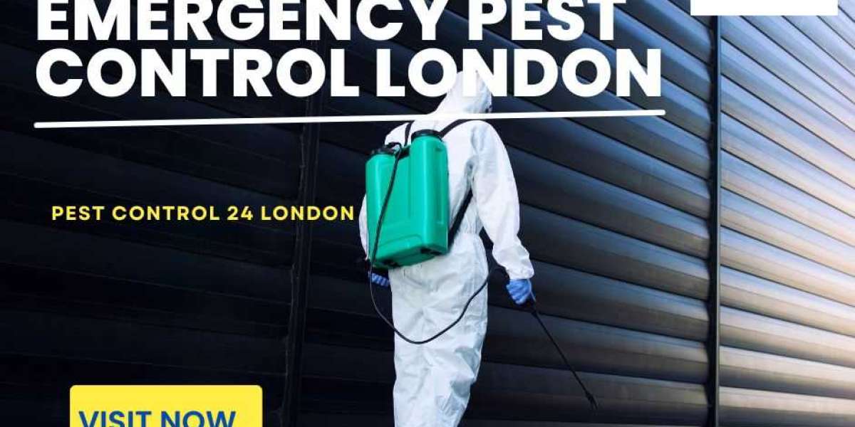Fast Solutions for Emergency Pest Control in London