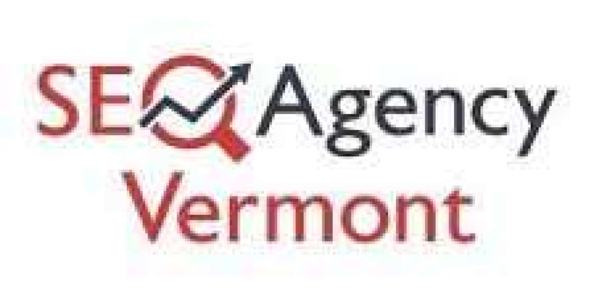 Seo Audit Vermont