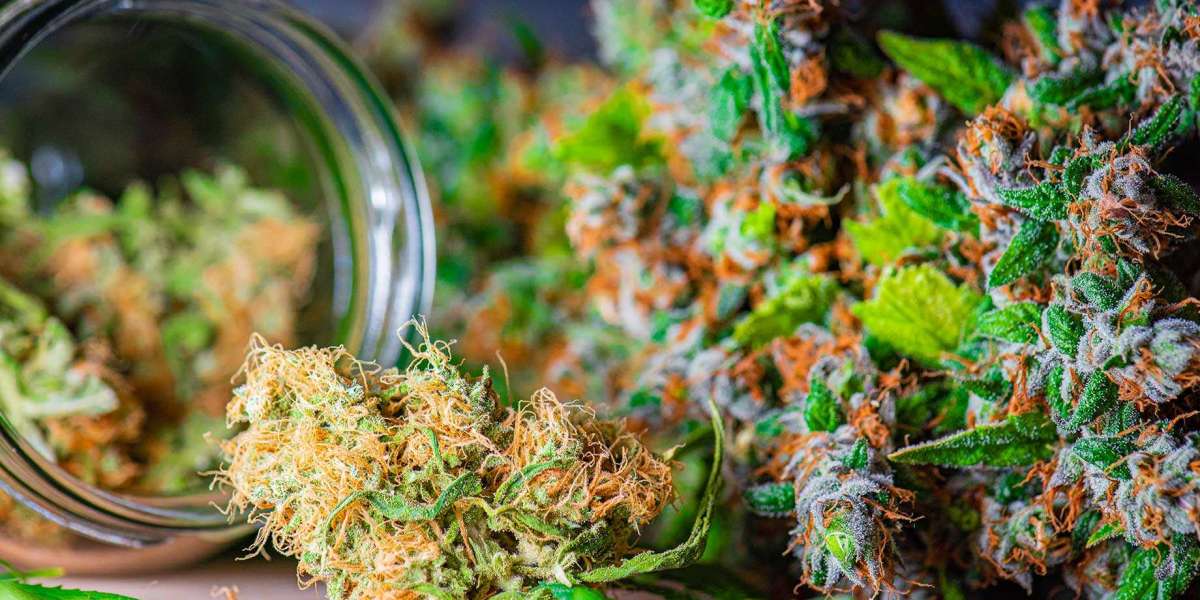 Unveiling the Gem: Discovering the Best Weed Dispensary in DC