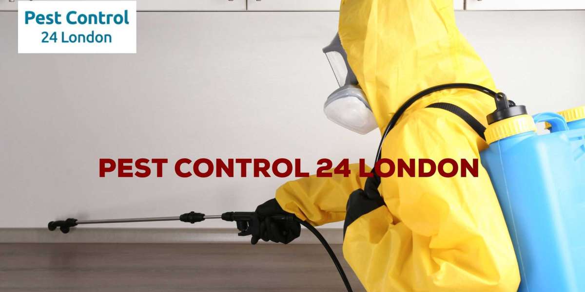 Expert Pest Control Services in Ealing | Ealing Pest Control