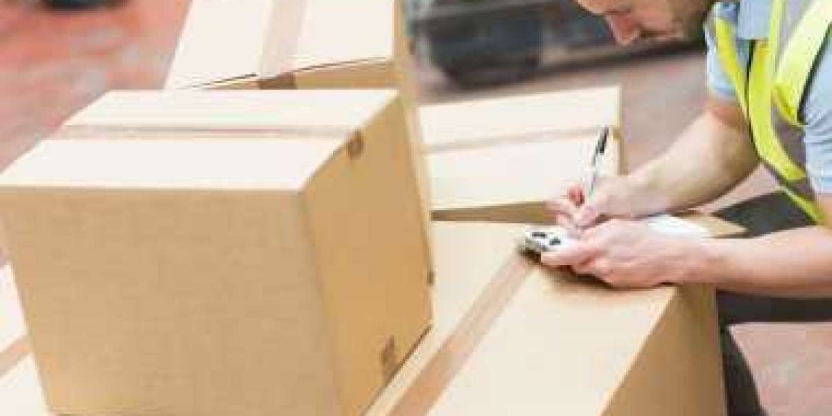 Conquering Kiwi Deliveries: Your Guide to NZ Courier Services