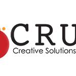 Crux Solutions Profile Picture