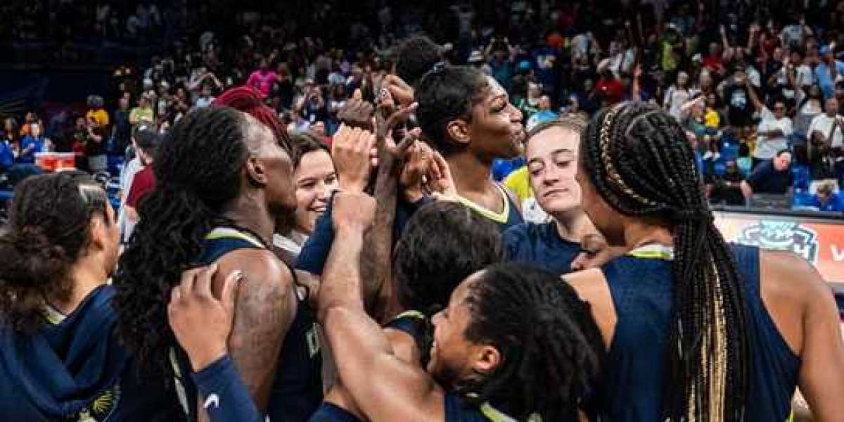 Dallas Wings Hire Pam Flenke as Vice Head Of State, Communications & & Broadcasting