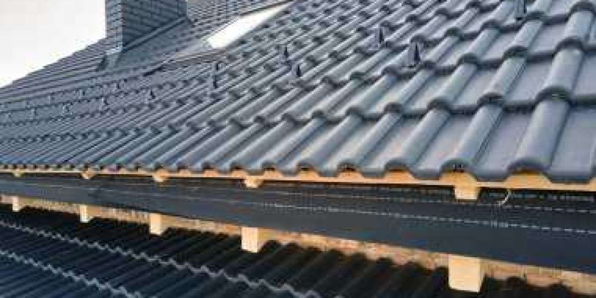 Auckland's Leaky Roof Nightmare Solved: My Journey to Metal Roofing Bliss