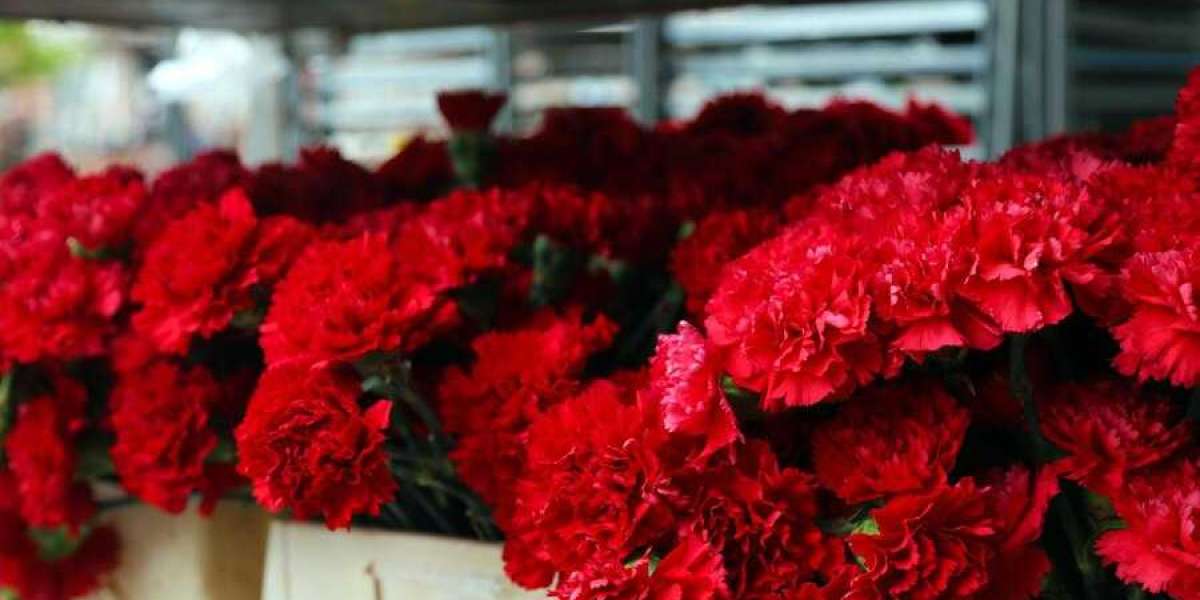 Wholesale Carnations and Roses Online: Convenient Ordering and Fast Delivery