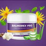 Balmorex Pro Profile Picture