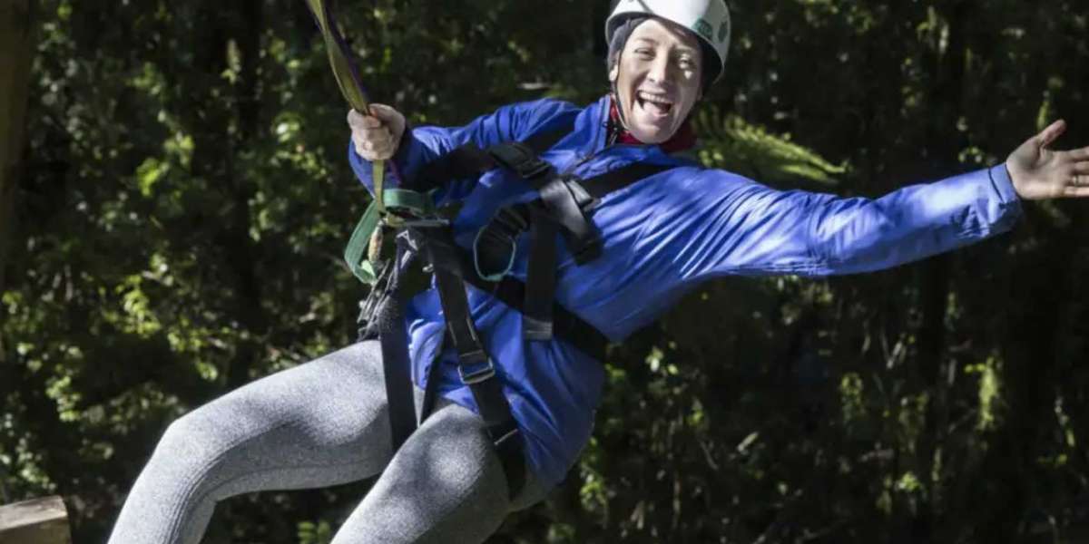 Team Building Activities in Rotorua: Uniting Through Adventure at Rotorua Canopy Tours